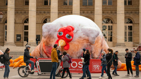 L214 investit Paris avec 3 poulets géants (et un film choc) pour dénoncer l’élevage intensif | Planète DDurable | Scoop.it