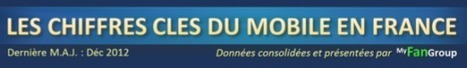 [Infographie] Les grands chiffres du marché mobile en France | Digital infographics | Scoop.it