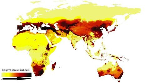 Découvrez la première carte des espèces d'abeilles dans le monde | Biodiversité | Scoop.it