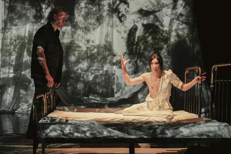 Théâtre. Le très mauvais genre d’Herculine Barbin | Revue de presse théâtre | Scoop.it