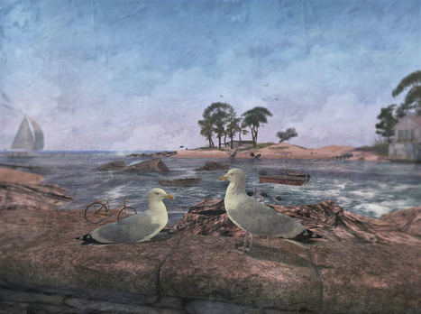 The Seagulls Of Soul2Soul Bay, Isle Of Love | soul2soulsl.co… | Second Life Exploring Destinations | Scoop.it