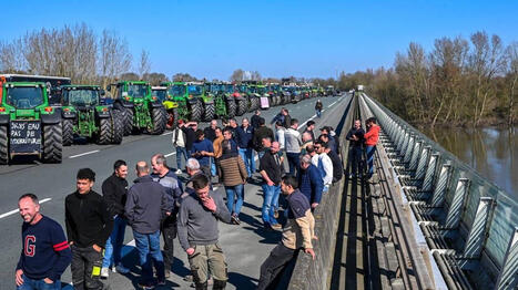&laquo;&nbsp;L&rsquo;heure est &agrave; l&rsquo;appui sonnant et tr&eacute;buchant de l&rsquo;&Eacute;tat&nbsp;&raquo;&nbsp;: la FNSEA s&rsquo;alarme des prix des engrais et carburants - Ouest France [Abonn&eacute;s] | Agriculture en Pays de la Loire | Scoop.it