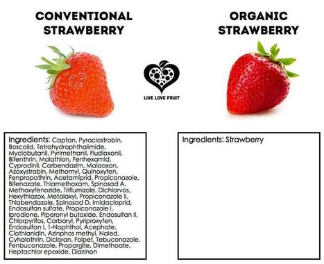 stawberry | Eco-Friendly Lifestyle | Scoop.it