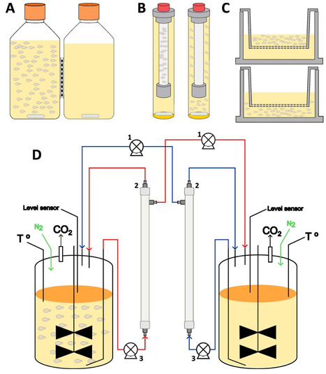 Evaluation of compartmentalization systems to study microbial interactions | Srep | RMH | Scoop.it