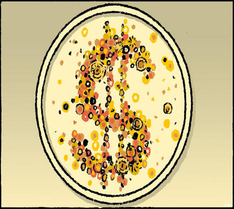 Novo marco para inova&ccedil;&atilde;o biotecnol&oacute;gica | Inova&ccedil;&atilde;o Educacional | Scoop.it