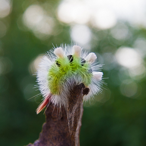 Standout Features Of The Nikon D600 - Make your ideas Art | Nikon D600 | Scoop.it