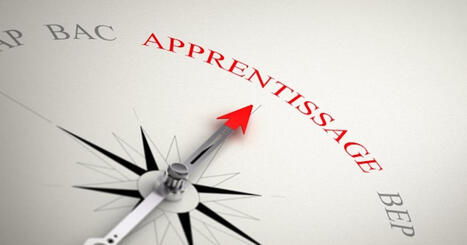 Financement de l&rsquo;&Eacute;tat pour l&rsquo;apprentissage : sauv&eacute; pour le priv&eacute;, supprim&eacute; pour les collectivit&eacute;s | Emploi, formation & insertion | Scoop.it