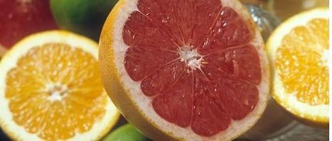 Pamplemousses, oranges et... cancer de la peau | Toxique, soyons vigilant ! | Scoop.it