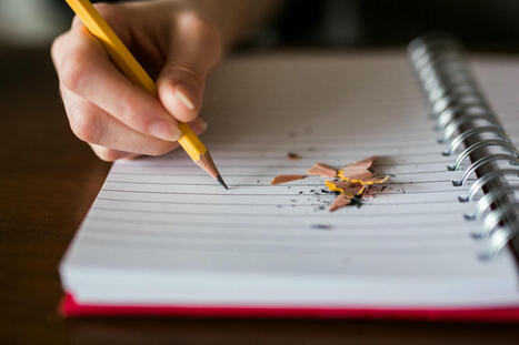 Educational Equity for Arab American Students | Dual Language Education in the U.S. | Scoop.it