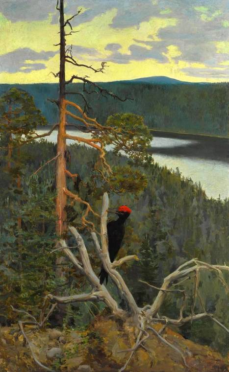 Yksi maailman tärkeimmistä museoista hankki Akseli Gallen-Kallelan Palokärki-teoksen - Kulttuuri | HS.fi | 1Uutiset - Lukemisen tähden | Scoop.it
