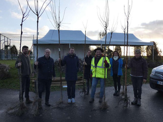 Falaises-du-Talou veut distribuer 70 000 arbres pour 2026 | Veille territoriale AURH | Scoop.it