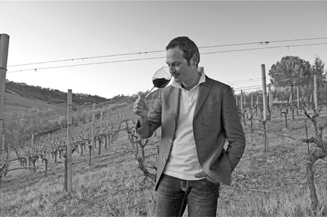 Artisans of  Wine Le Marche: Vini Dianetti, Carassai | Good Things From Italy - Le Cose Buone d'Italia | Scoop.it