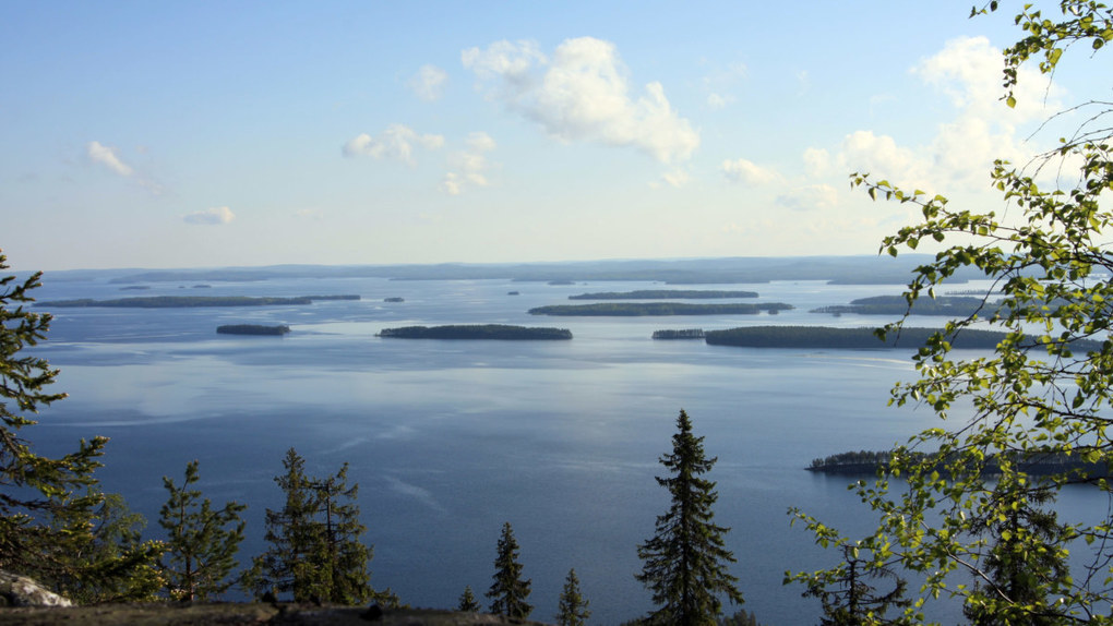 Mikä on Suomen pisin joki? Missä on i...