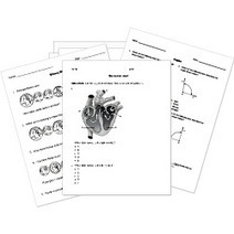 Free Printable Worksheets and Activities - All