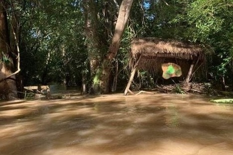 Parrot Nest Lodge Disaster Relief | Cayo Scoop!  The Ecology of Cayo Culture | Scoop.it