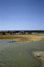 Fran&ccedil;ois Houllier - Faire science ensemble : l&rsquo;opportunit&eacute; des sciences participatives pour la recherche et la soci&eacute;t&eacute; - Institut de recherche pour le d&eacute;veloppement (IRD) | Biodiversit&eacute; | Scoop.it