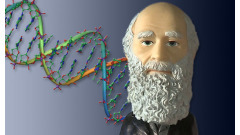 Introduction to Genetics and Evolution | University-Lectures-Online | Scoop.it