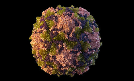 New York declares 'state of emergency' as polio continues to spread | Medical Disasters: EM 351, EM 421,  EM 570 | Scoop.it