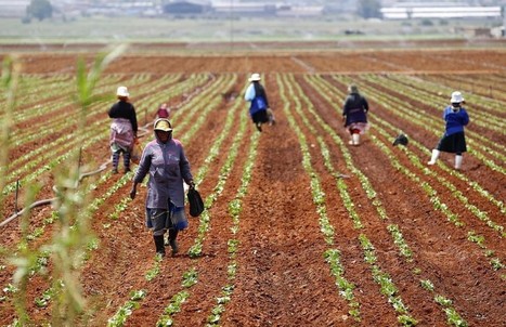 Climate adaptation can boost investment and jobs in Africa | Climate Change & DRR in East Africa | Scoop.it