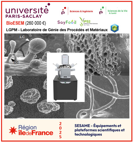 FOCUS PLATEFORME : AAP SESAME 2025 : Voir des structures biologiques &agrave; haute r&eacute;solution sous sollicitation hydrique : un outil majeur pour observer, comprendre, quantifier et mod&eacute;liser | Life Sciences Universit&eacute; Paris-Saclay | Scoop.it