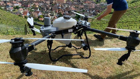 Le traitement par drone testé dans les vignes pentues du grand cru Sommerberg à Niedermorschwihr - ici | Alsace Actu | Scoop.it
