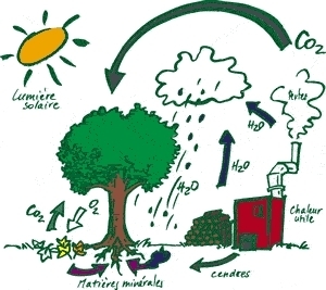 [guide] Chauffage au bois - savoir-faire conception et installation | Build Green, pour un habitat écologique | Scoop.it