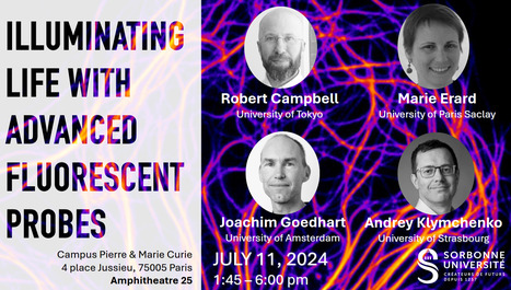 Minisymposium ILLUMINATING LIFE WITH ADVANCED FLUORESCENT PROBES - 11th July 2024 | Life Sciences Université Paris-Saclay | Scoop.it