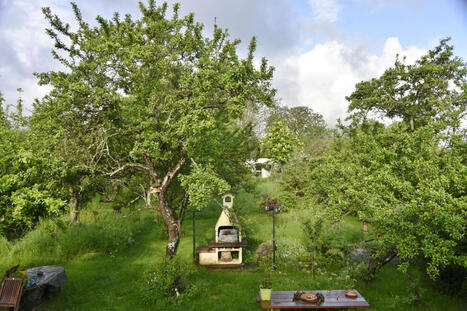 Les jardins priv&eacute;s, des refuges pr&eacute;cieux pour la biodiversit&eacute; : &laquo;&nbsp;Nous avons des orvets, des l&eacute;zards et pas mal de papillons&nbsp;&raquo; | Les Colocs du jardin | Scoop.it