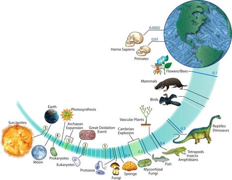 Le concept de microbiome et son impact vont bien au-delà du corps humain / Toward a Predictive Understanding of Earth’s Microbiomes to Address 21st Century Challenges | EntomoNews | Scoop.it