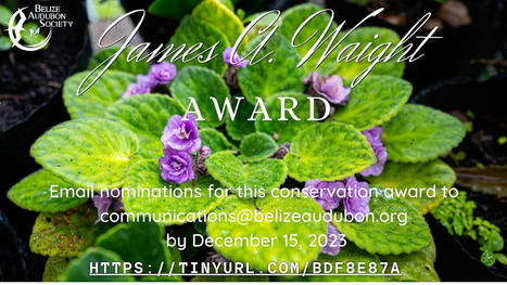 38th Annual James A. Waight Award Nominations Open | Cayo Scoop!  The Ecology of Cayo Culture | Scoop.it