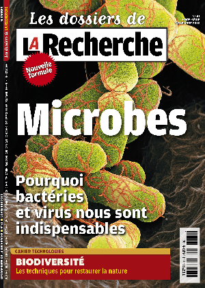 ACTUALITÉ DES SCIENCES : "Détection des particules (texte intégral)" - La Recherche, l'actualité des sciences | Beyond the cave wall | Scoop.it