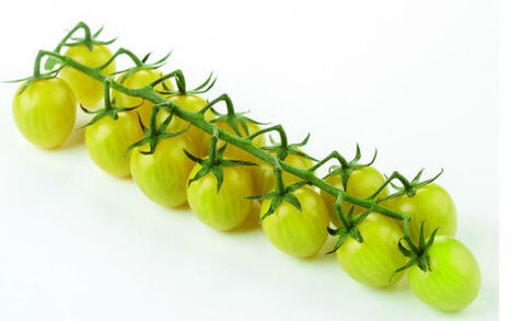 La papaye sans p&eacute;pins, prix de l&rsquo;innovation &agrave; Fruit Logistica | Innovation Agro-activit&eacute;s et Bio-industries | Scoop.it