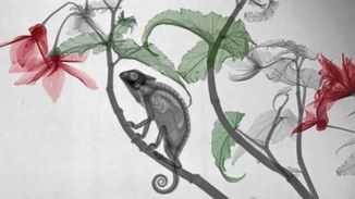 Exam Cheating Scandal Hits #US Navy #Nuclear Force - AP | News in english | Scoop.it