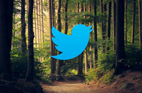 Les scientifiques à suivre sur Twitter | Boîte à outils numériques | Scoop.it