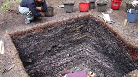 Native Peoples Harvested Huge Amounts of Seafood Without Harming Ecosystems | Stage 6 HSC Geography ( Current syllabus) | Scoop.it