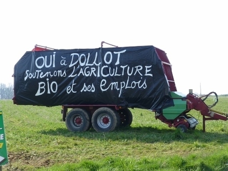 Abattage de la ferme de la Bilouterie (Dollot, près de Cheroy, 89) | La Gazette des abattoirs | Scoop.it