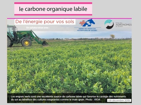 Le carbone organique labile, de l’énergie pour vos sols | MOF matière organique réactive du sol | Scoop.it
