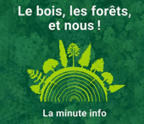 Qu'est-ce que les forêts pédagogiques ? avec France Bois Forêt | INC | La SELECTION du Web | CAUE des Vosges - www.caue88.com | Scoop.it