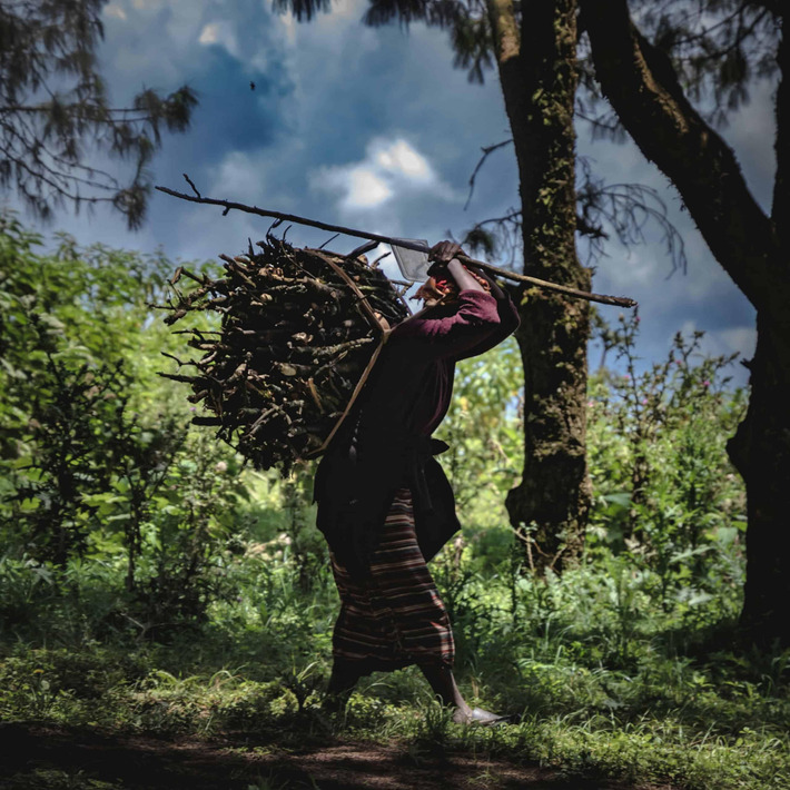 What Will They Actually Carry Forward? | Business Family Enterprise Report  - Moving From Success to Significance | Scoop.it