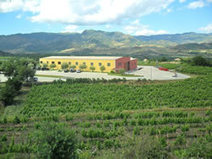 Sicily Vacations - Wine Tasting the Burgandy of the Mediterranean | Sicily Vacations | Scoop.it
