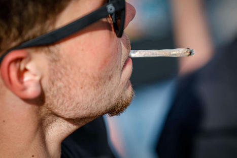 Le fumeur de cannabis en France, un profil plus âgé | Débat cannabis | Scoop.it