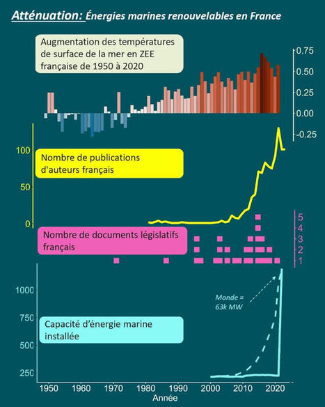 De l’idée à l’action : où en est la France pour sauver les océans ? | “C’est le moment de réunir les intelligences” Laurence Tubiana | Scoop.it
