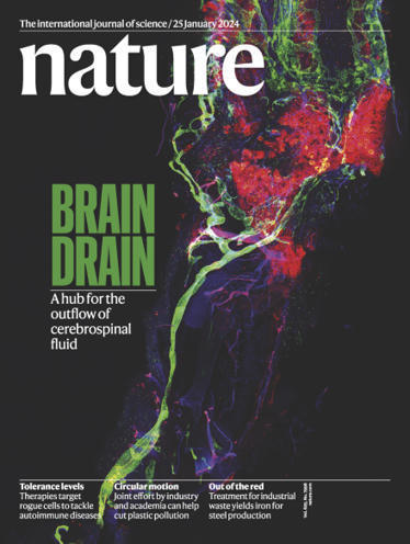 Volume 625 Issue 7996, 25 January 2024 | NeuroImmunology | Scoop.it