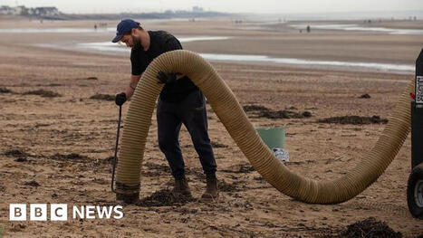 Pellets could wash up on Camber Sands for next year, council says / le 12.11.2025 | Pollution accidentelle des eaux (+ déchets plastiques) | Scoop.it
