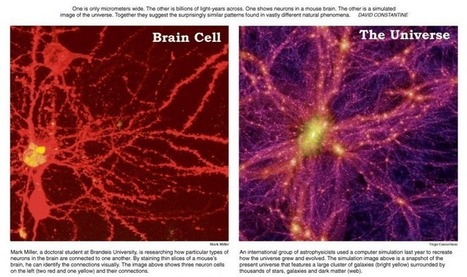 How the universe grows like a Giant Brain | Soup for thought | Scoop.it