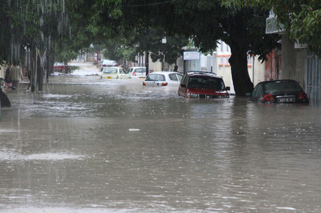 Rich Countries Drag Feet at Climate Talks - Remain Loyal to Fossil Fuels | CLIMATE CHANGE WILL IMPACT US ALL | Scoop.it