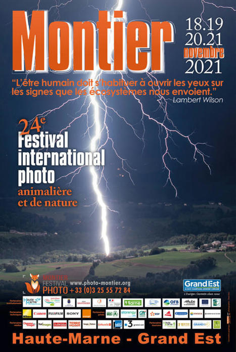 Le Festival Photo Montier 2021 se déroule en ce moment ! | Variétés entomologiques | Scoop.it