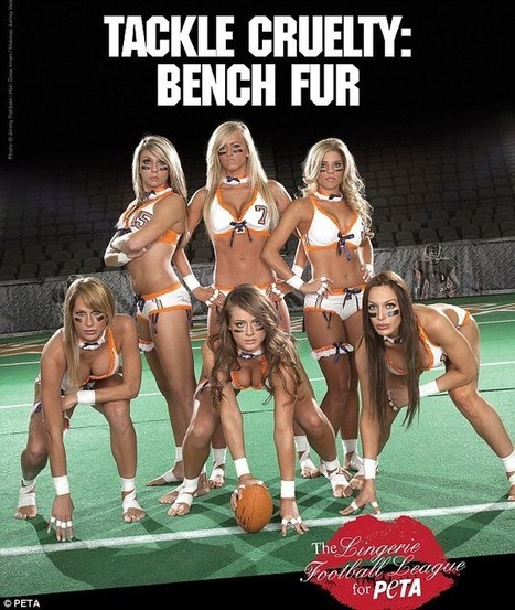 Lingerie Football League players strip for PETA's new anti-fur campaign | LFL - Lingerie Football League | Scoop.it
