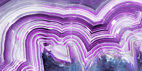 Capturing the cybersecurity dividend: How security platforms generate business value | Cybersecurity Leadership | Scoop.it