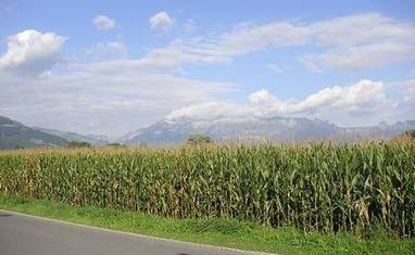 Dépassement du quota en ressources naturelles pour l’année : la planète vit à crédit | Notre planète | Scoop.it